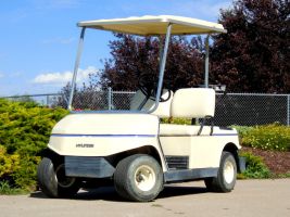 Hyundai Golf Cart