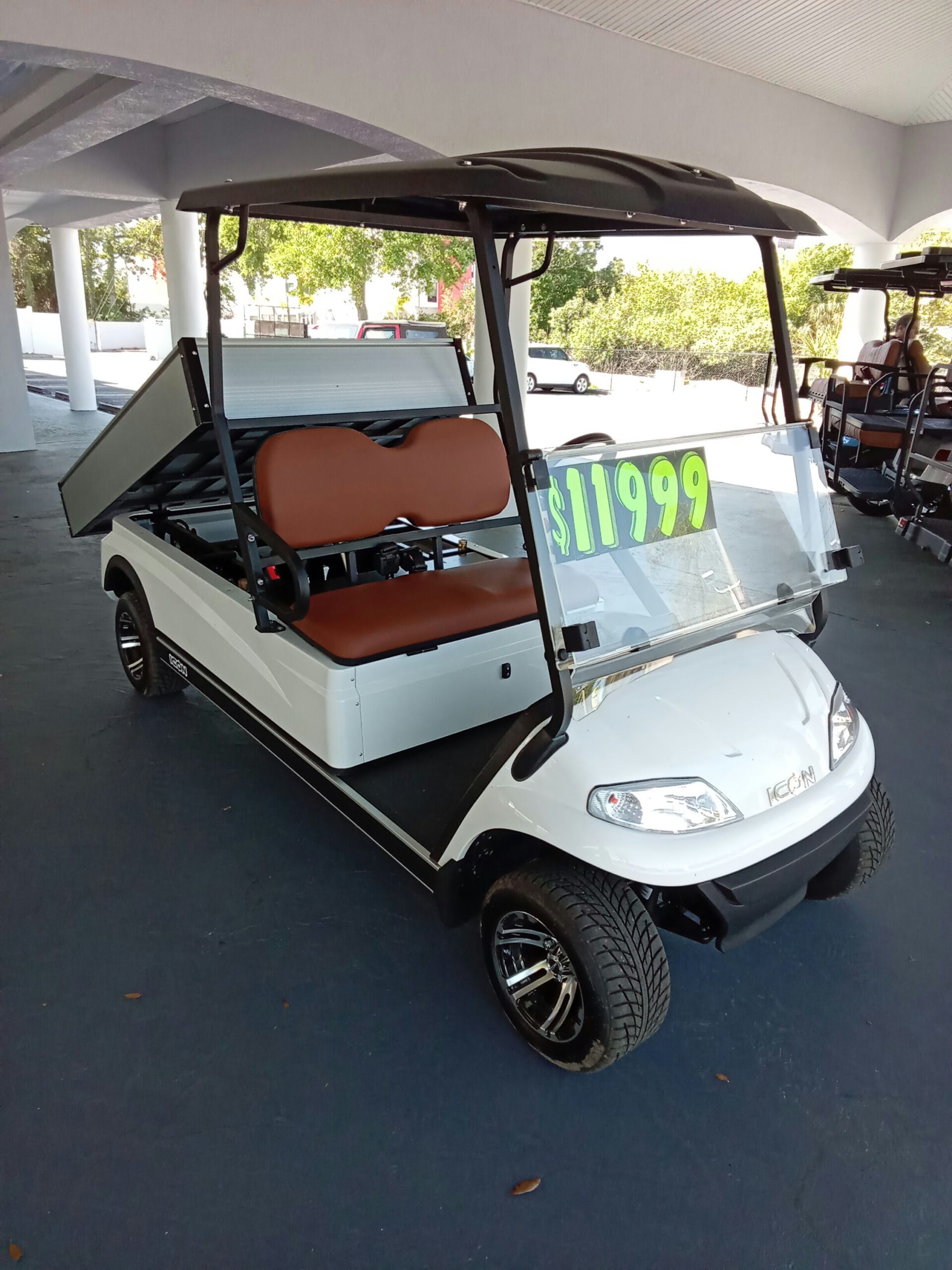 Icon C20U, 2-PASS, AGM ELECTRIC, Non-lifted
