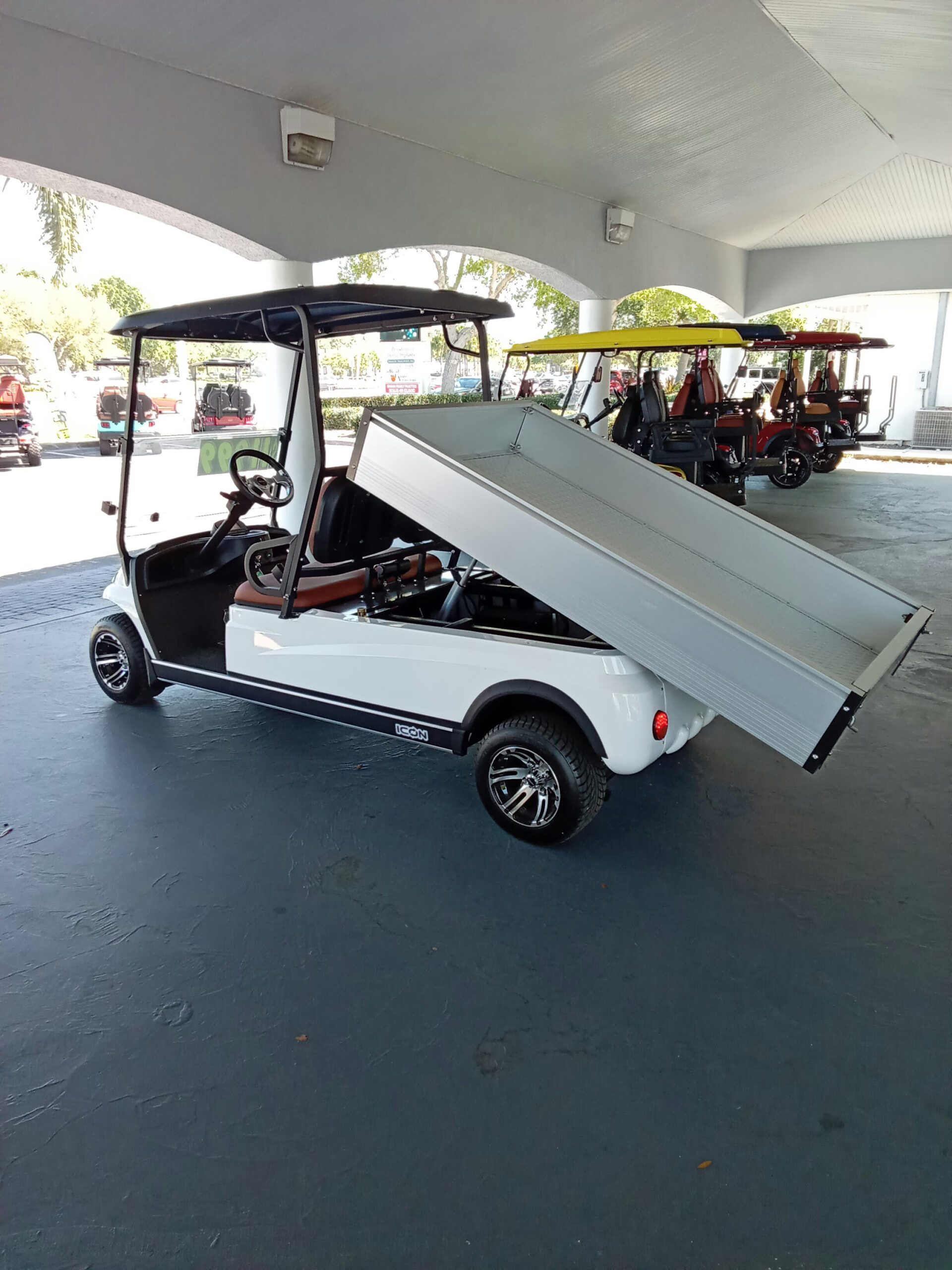 Icon C20U, 2-PASS, AGM ELECTRIC, Non-lifted