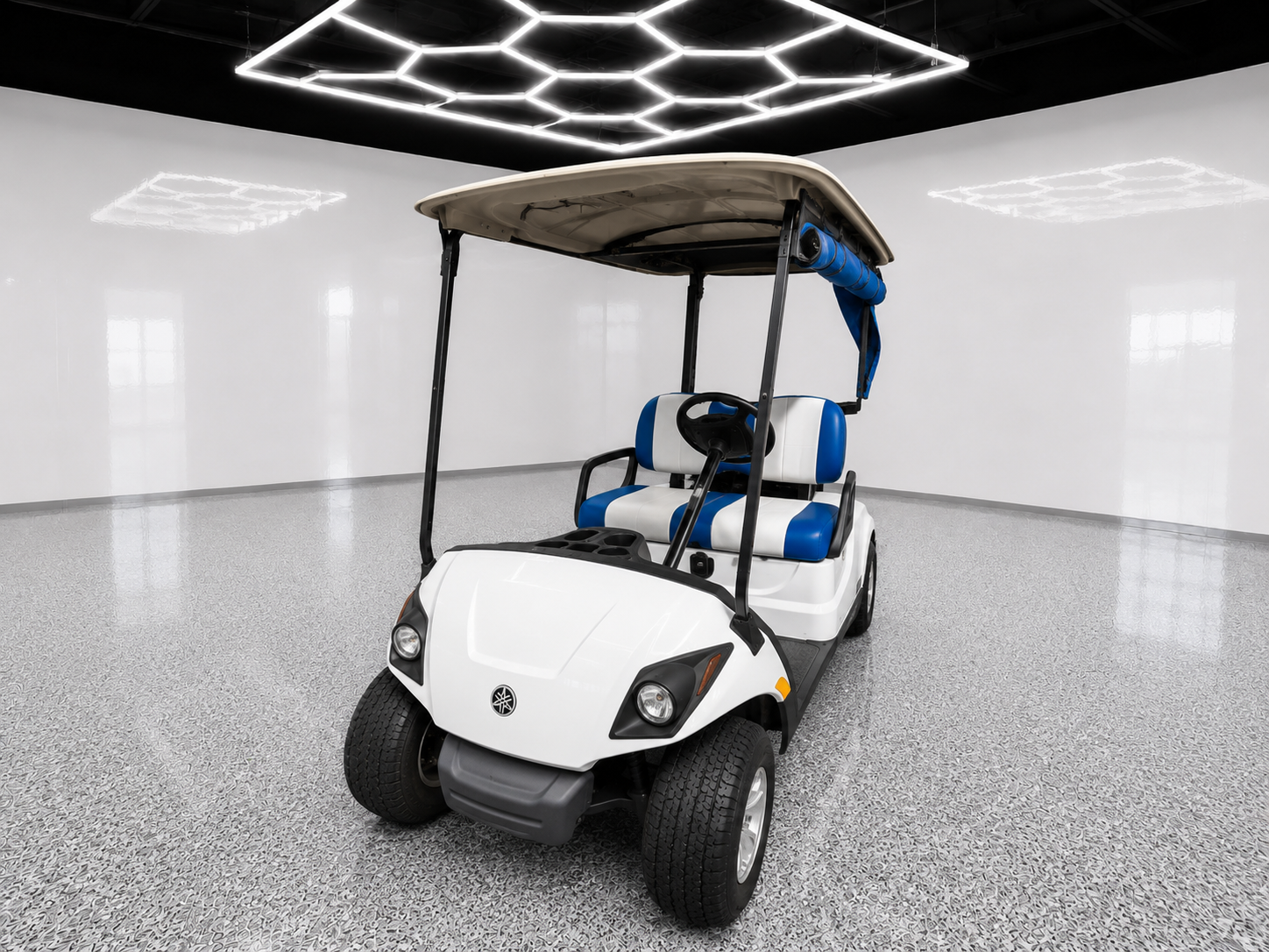 Yamaha Drive 1, 2-PASS, FLA ELECTRIC, Non-lifted